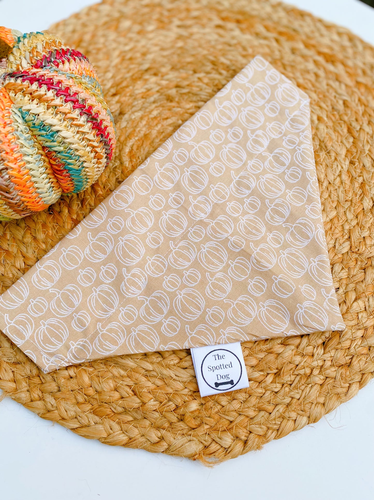 Neutral Pumpkins Bandana